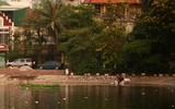 Hà Nội: Lại xuất hiện cá chết ở hồ Hoàng Cầu 